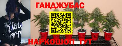 стафф Конаково