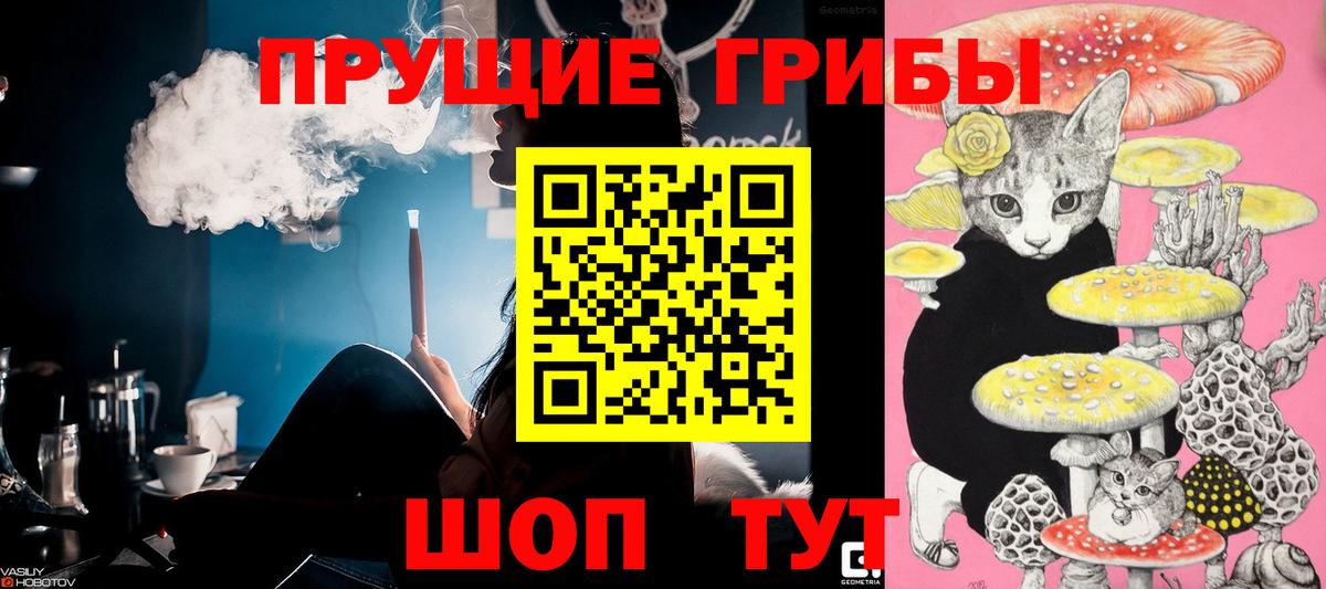 Галлюциногенные грибы мухоморы Касимов