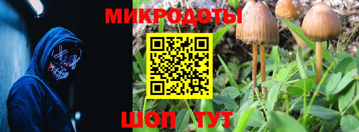 где продают   Псилоцибиновые грибы мицелий  Вход с VPN  Касимов 
